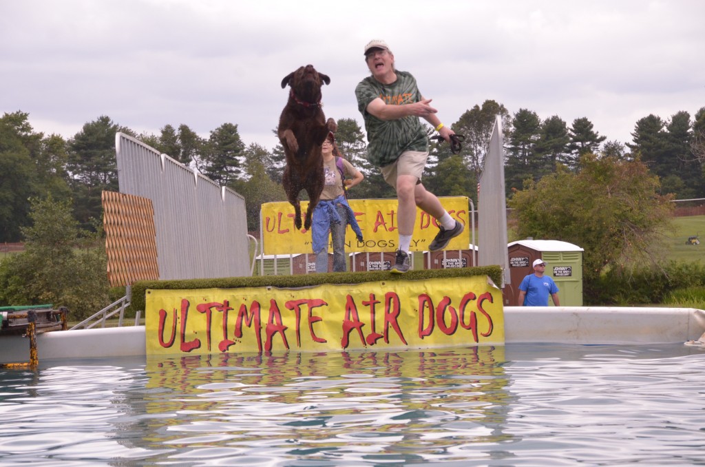 Ultimate Air Dogs In Action